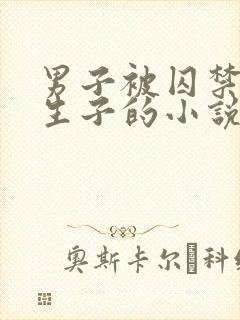 男子被囚禁改造生子的小说