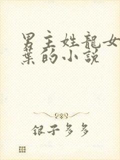 男主姓龙女主姓叶的小说