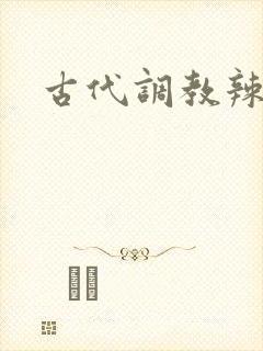 古代调教辣文封面