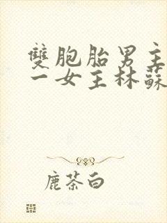 双胞胎男主共享一女主林苏