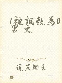 1被调教为0男男 文封面