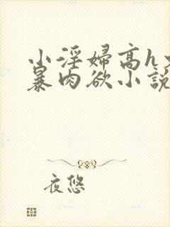 小淫妇高h文黄暴肉欲小说