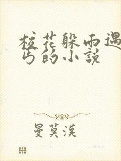 校花躲雨遇到乞丐的小说