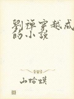 刘禅穿越成赵构的小说封面