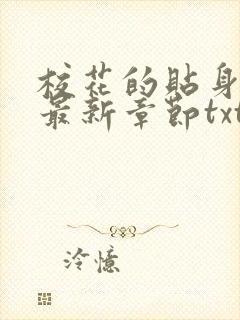 校花的贴身高手最新章节txt下载