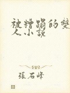 被糟蹋的双性美人小说封面