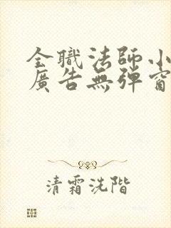 全职法师小说无广告无弹窗免费阅读