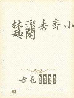 林洁秦齐小说笔趣阁