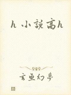 h 小说高h