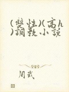 (双性)(高h)调教小说