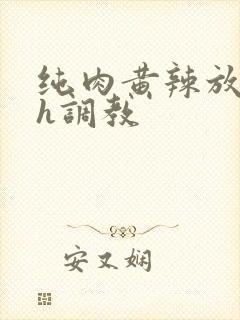 纯肉黄辣放荡高h调教