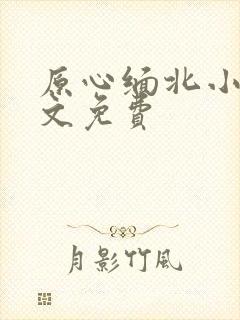 原心缅北小说全文免费