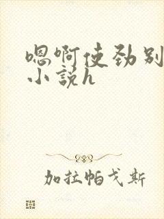 嗯啊使劲别停啊小说h