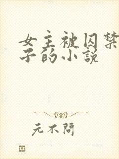 女主被囚禁生孩子的小说封面