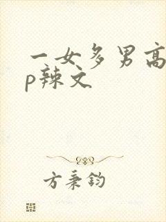 一女多男高hnp辣文封面
