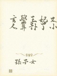 玄学王妃又在给人算卦了小说