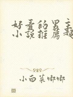 好看的男主穿越小说推荐超经典