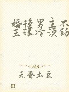 婚后男主不爱女主很冷漠的文po封面