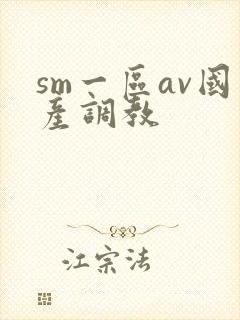 sm一区av国产调教