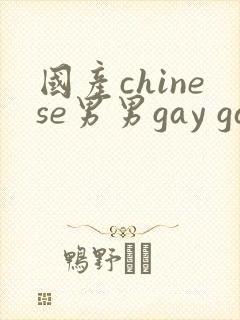 国产chinese男男gay gay网址