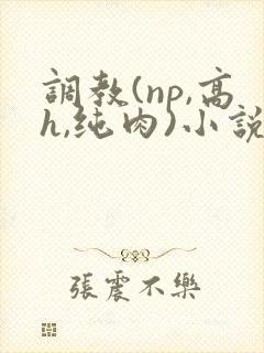 调教(np,高h,纯肉)小说封面