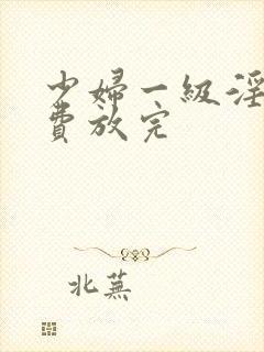 少妇一级淫片免费放完