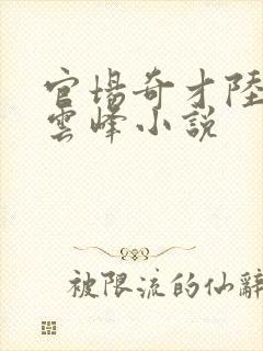 官场奇才陆羽刘云峰小说