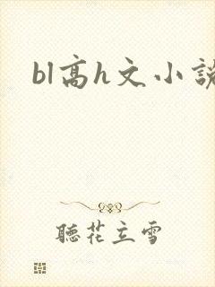 bl高h文小说