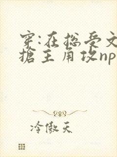 穿:在总受文里抢主角攻np