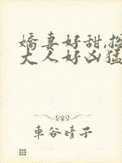 娇妻好甜,总裁大人好凶猛苏南风的结局