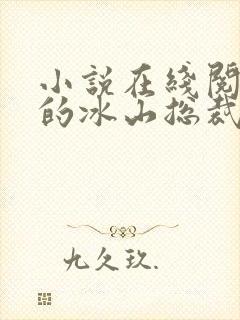 小说在线阅读我的冰山总裁老婆