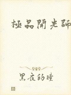 极品开光师封面