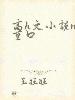 高h文小说np重口封面