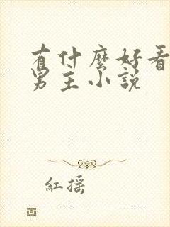 有什么好看的双男主小说