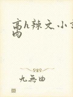 高h辣文小说纯肉