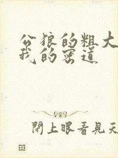 公狼的粗大挺进我的密道封面