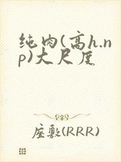 纯肉(高h.np)大尺度