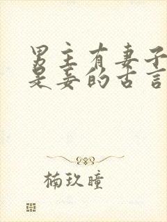 男主有妻子女主是妾的古言