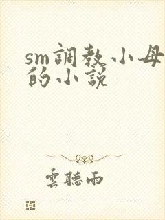 sm调教小母狗的小说