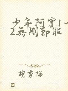 少年阿宾1～72无删节版