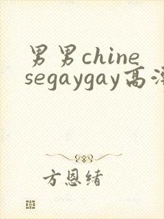 男男chinesegaygay高潮封面