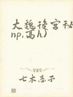 大魏后宫秘史(np,高h)