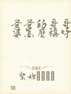 爸爸的哥哥的老婆怎么称呼封面