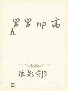 男男 np 高h