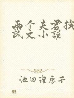 两个夫君挨打训诫文小说