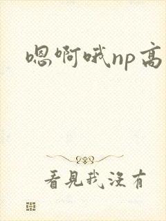嗯啊哦np高h