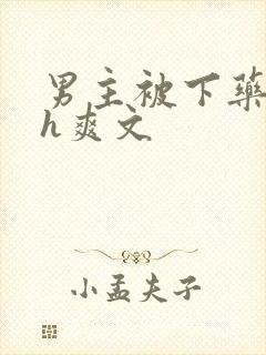 男主被下药后高h爽文