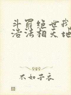 斗罗绝世我霍雨浩法相天地笔趣阁