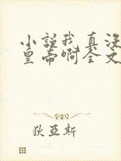 小说我真没想当皇帝啊全文