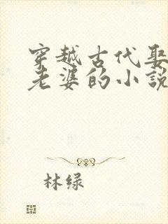 穿越古代娶很多老婆的小说